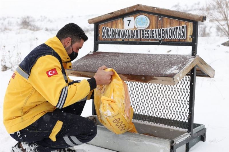 Nevşehir Belediyesi can dostları unutmadı